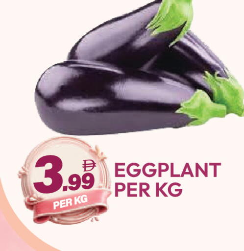 available at دريم لاند in الإمارات العربية المتحدة , الامارات - دبي
