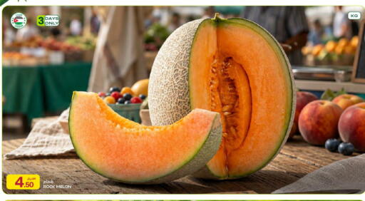Melon from Jordan available at شركة الميرة للمواد الاستهلاكية in قطر - الشحانية