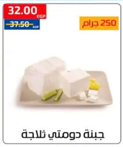 available at Al-Allaf Market in Egypt - Cairo
