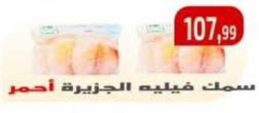 available at مؤسسة ايهاب البرنس in Egypt - القاهرة