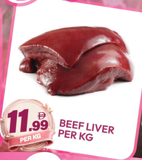 available at دريم لاند in الإمارات العربية المتحدة , الامارات - دبي