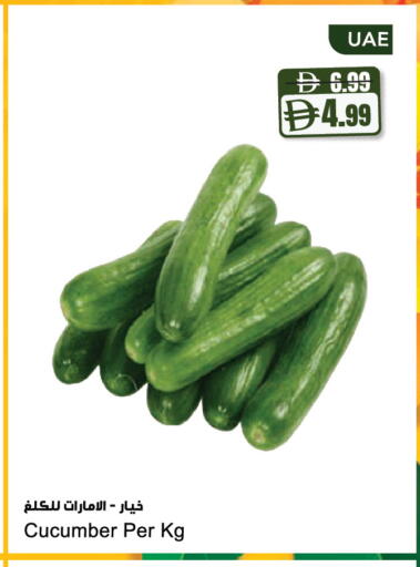 Cucumber available at Almaya Supermarkets in UAE - Dubai