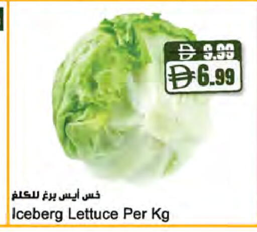 Lettuce available at المايا سوبرماركت in الإمارات العربية المتحدة , الامارات - رَأْس ٱلْخَيْمَة