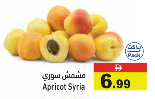 Apricot available at أسواق رامز in الإمارات العربية المتحدة , الامارات - الشارقة / عجمان