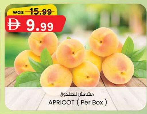 Apricot available at K M Trading  in UAE - Abu Dhabi
