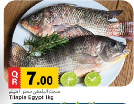 available at مرزا هايبرماركت in قطر - الوكرة
