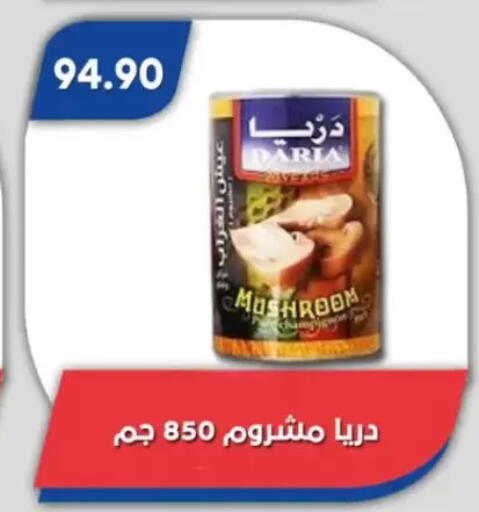 Mushroom available at Bassem Market in Egypt - Cairo