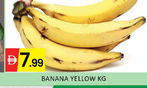 Banana available at المدينة in الإمارات العربية المتحدة , الامارات - رَأْس ٱلْخَيْمَة