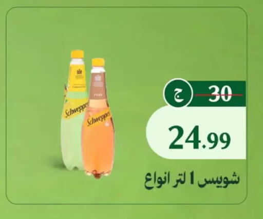 available at Al Duha Market in Egypt - Cairo