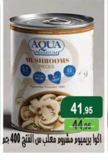 available at Mekkawy market  in Egypt - Cairo