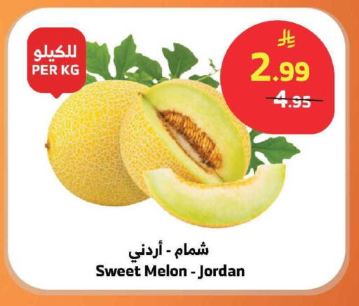Melon from Jordan available at الراية in مملكة العربية السعودية, السعودية, سعودية - الباحة