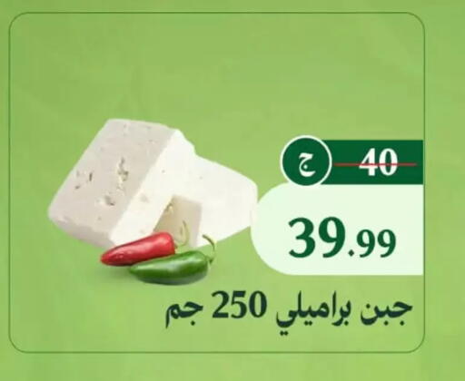 available at Al Duha Market in Egypt - Cairo