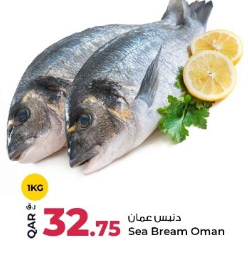 available at روابي هايبرماركت in قطر - الخور