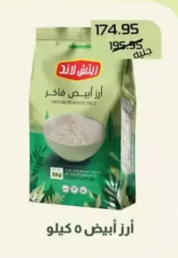 available at Mekkawy market  in Egypt - Cairo