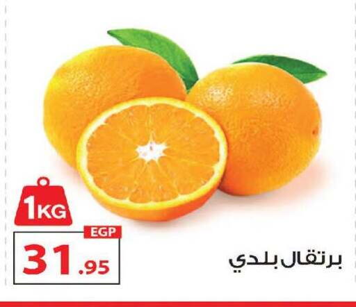 available at زهران ماركت in Egypt - القاهرة