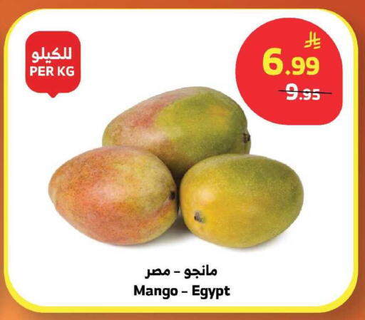 Mango from Egypt available at الراية in مملكة العربية السعودية, السعودية, سعودية - الباحة