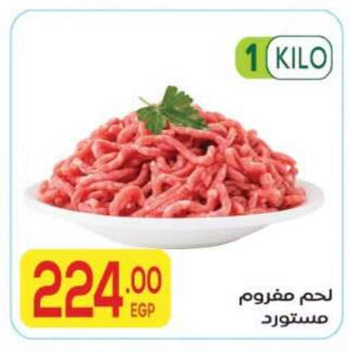 available at المحلاوي ماركت in Egypt - القاهرة