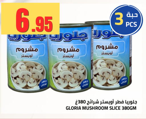 Mushroom available at أسواق أسترا in مملكة العربية السعودية, السعودية, سعودية - تبوك