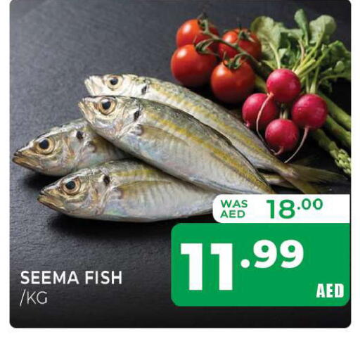 available at Al Madina  in UAE - Sharjah / Ajman