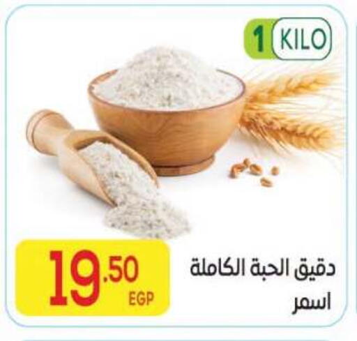 available at المحلاوي ماركت in Egypt - القاهرة