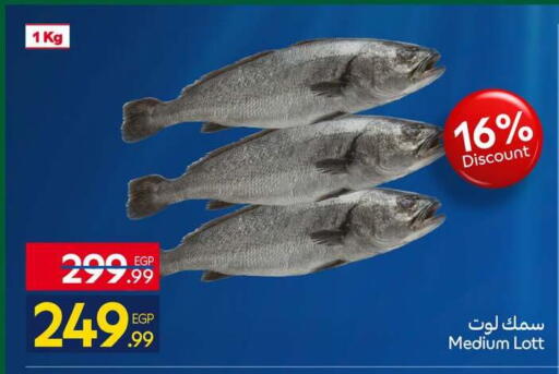 available at كارفور in Egypt - القاهرة