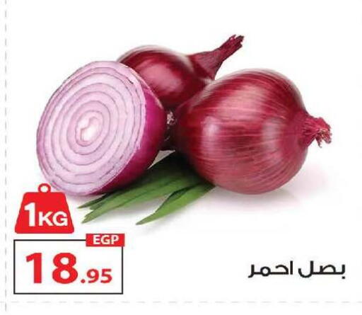 available at زهران ماركت in Egypt - القاهرة