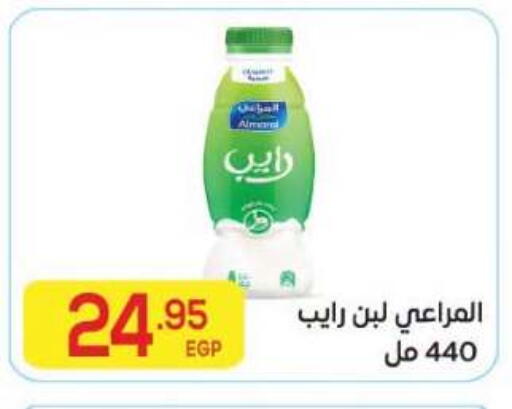 available at المحلاوي ماركت in Egypt - القاهرة