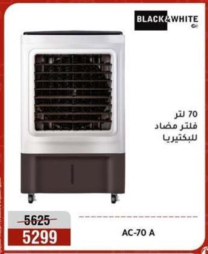 available at Al Morshedy  in Egypt - Cairo