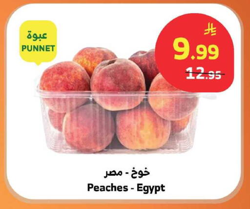 from Egypt available at الراية in مملكة العربية السعودية, السعودية, سعودية - الباحة
