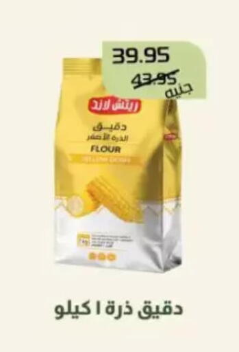 available at Mekkawy market  in Egypt - Cairo