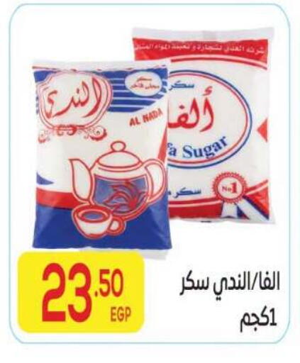 available at المحلاوي ماركت in Egypt - القاهرة