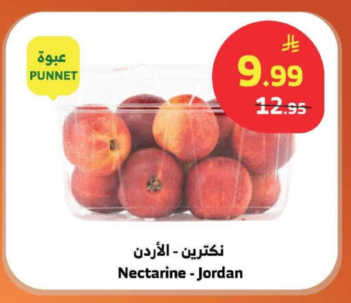 Nectarine from Jordan available at الراية in مملكة العربية السعودية, السعودية, سعودية - الباحة