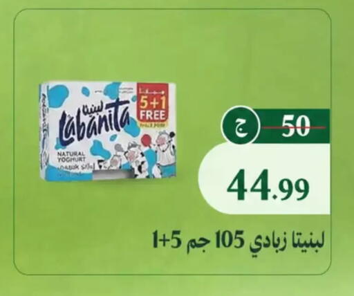 available at Al Duha Market in Egypt - Cairo