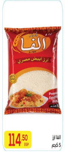 available at المحلاوي ماركت in Egypt - القاهرة