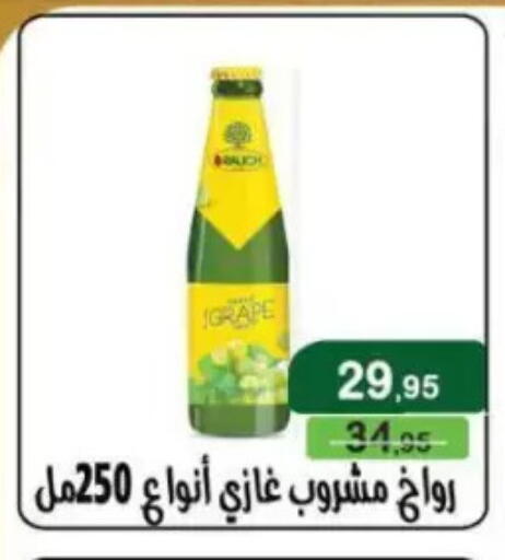 available at Mekkawy market  in Egypt - Cairo