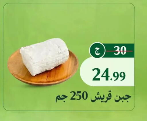 available at Al Duha Market in Egypt - Cairo