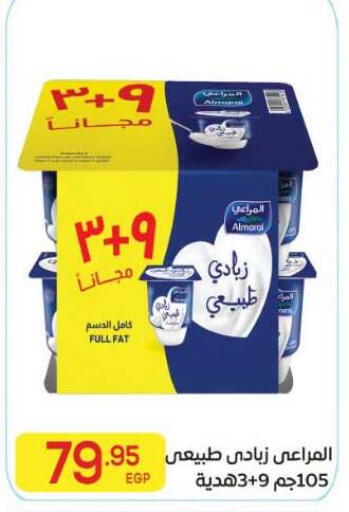 available at المحلاوي ماركت in Egypt - القاهرة