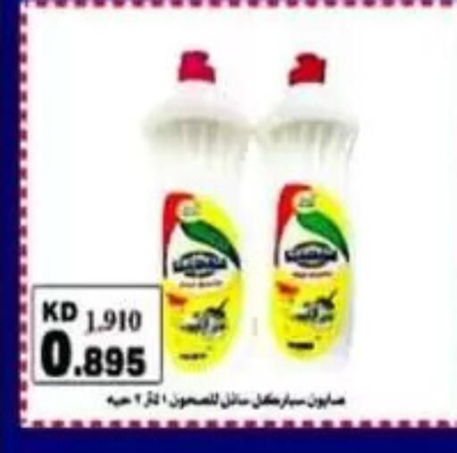 available at Al Sulaibiya Cooperative Society in Kuwait