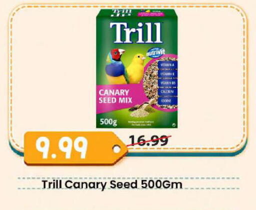 available at مارك & سيف in الإمارات العربية المتحدة , الامارات - أبو ظبي
