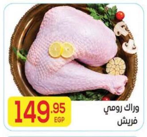 available at El Mahallawy Market  in Egypt - Cairo