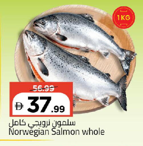 available at مارك & سيف in الإمارات العربية المتحدة , الامارات - الشارقة / عجمان