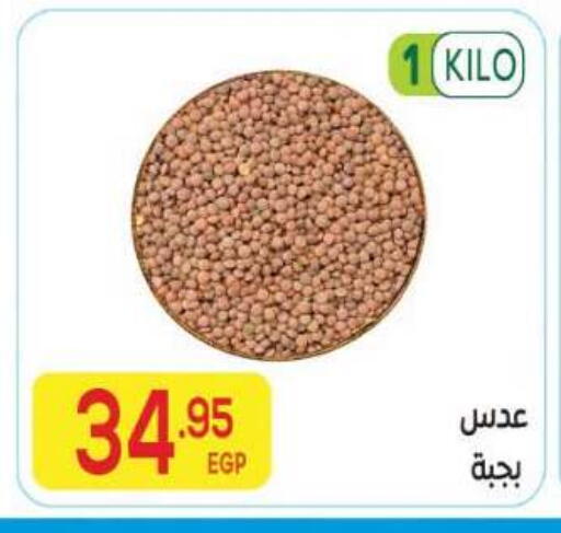 available at El Mahallawy Market  in Egypt - Cairo