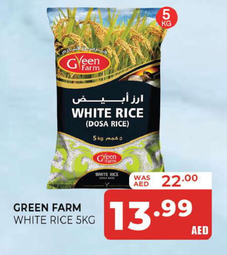 available at المدينة in الإمارات العربية المتحدة , الامارات - الشارقة / عجمان