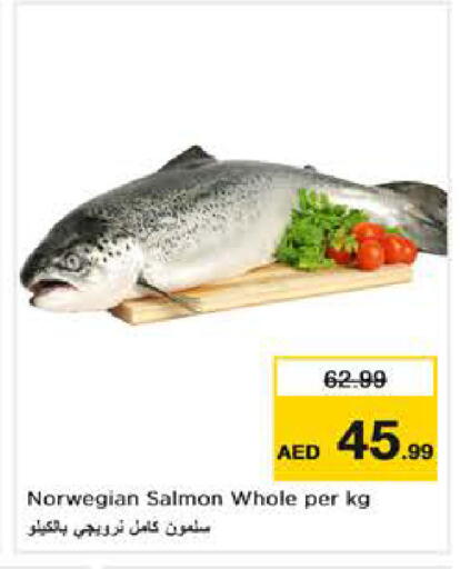 available at نستو هايبرماركت in الإمارات العربية المتحدة , الامارات - أبو ظبي