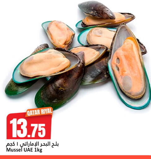 available at دانة هايبرماركت in قطر - الخور