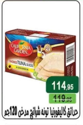 available at Mekkawy market  in Egypt - Cairo