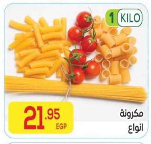 available at El Mahallawy Market  in Egypt - Cairo