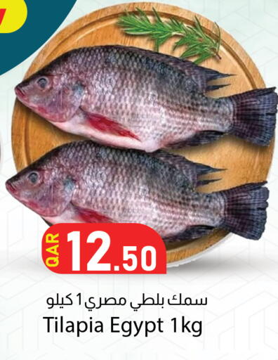 available at دانا ماركت in قطر - الخور
