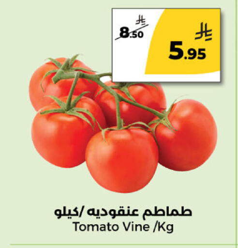 Tomato available at دانا مارت in مملكة العربية السعودية, السعودية, سعودية - الرياض