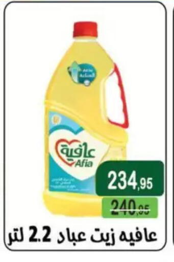available at Mekkawy market  in Egypt - Cairo